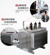 油浸式變壓器滲漏油原因及怎么辦？